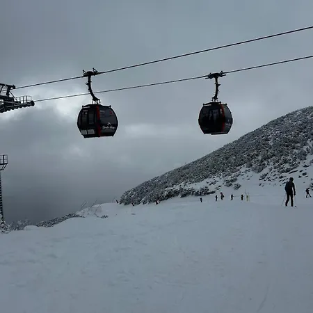 210 Aston ולקה לומניקה